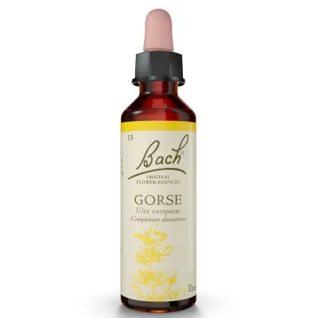 Fleurs de Bach Original GORSE Ajonc 20ml