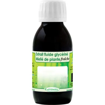 PhytoFrance Extrait Fluide Glycériné d’Aubépine Bio 125 ml