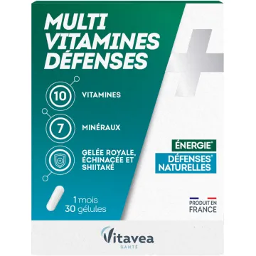 Vitavea Multivitamines Défenses & Immunité 30 gélules