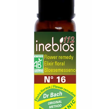 Inebios Fleur de Bach n°16 Honeysuckle Chèvrefeuille Bio 10 ml