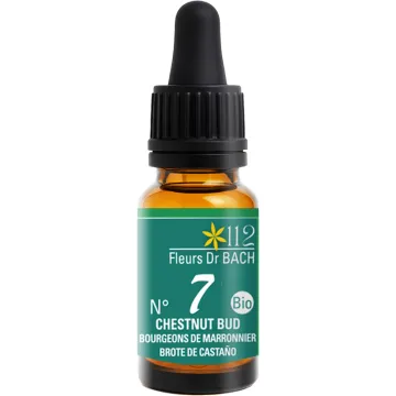 Inebios Fleur de Bach n°7 Chestnut Bud Bourgeon de Marronnier Bio 10 ml