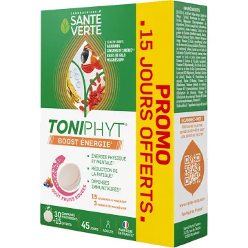 Toniphyt Boost Énergie fruits rouges 45 comprimés – Santé Verte