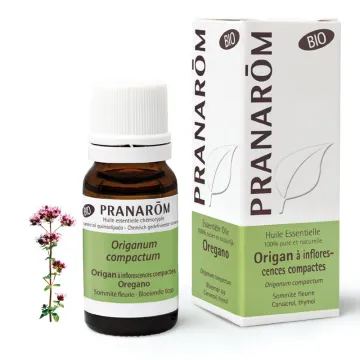Huile essentielle BIO Origan à inflorescences compactes Origanum compactum 10 ml PRANAROM