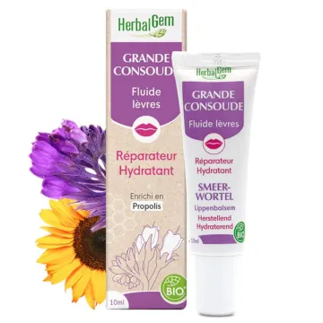 FLUIDE LEVRES Grande Consoude Bio