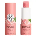 Roger&Gallet Baume Lèvres Sublimateur Fleur de Figuier 3,5g