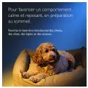 Rescue Pets Nuit Fleurs de Bach pour Chiens et Chats - Sans alcool - 20 ml