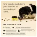 Rescue Pets Friandises Apaisantes pour Chiens Fleurs de Bach - x60